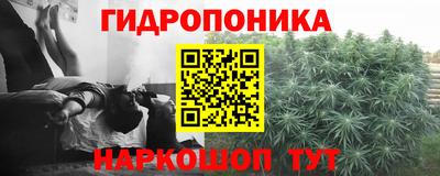 эйфоретик Славгород