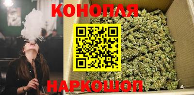 эйфоретик Славгород