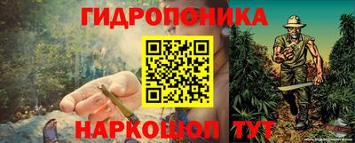 сатива Сланцы