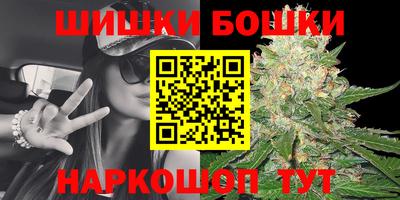 сатива Сланцы